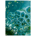 2e56eeae-2b2f-4afc-9dcb-b080bfd6af12