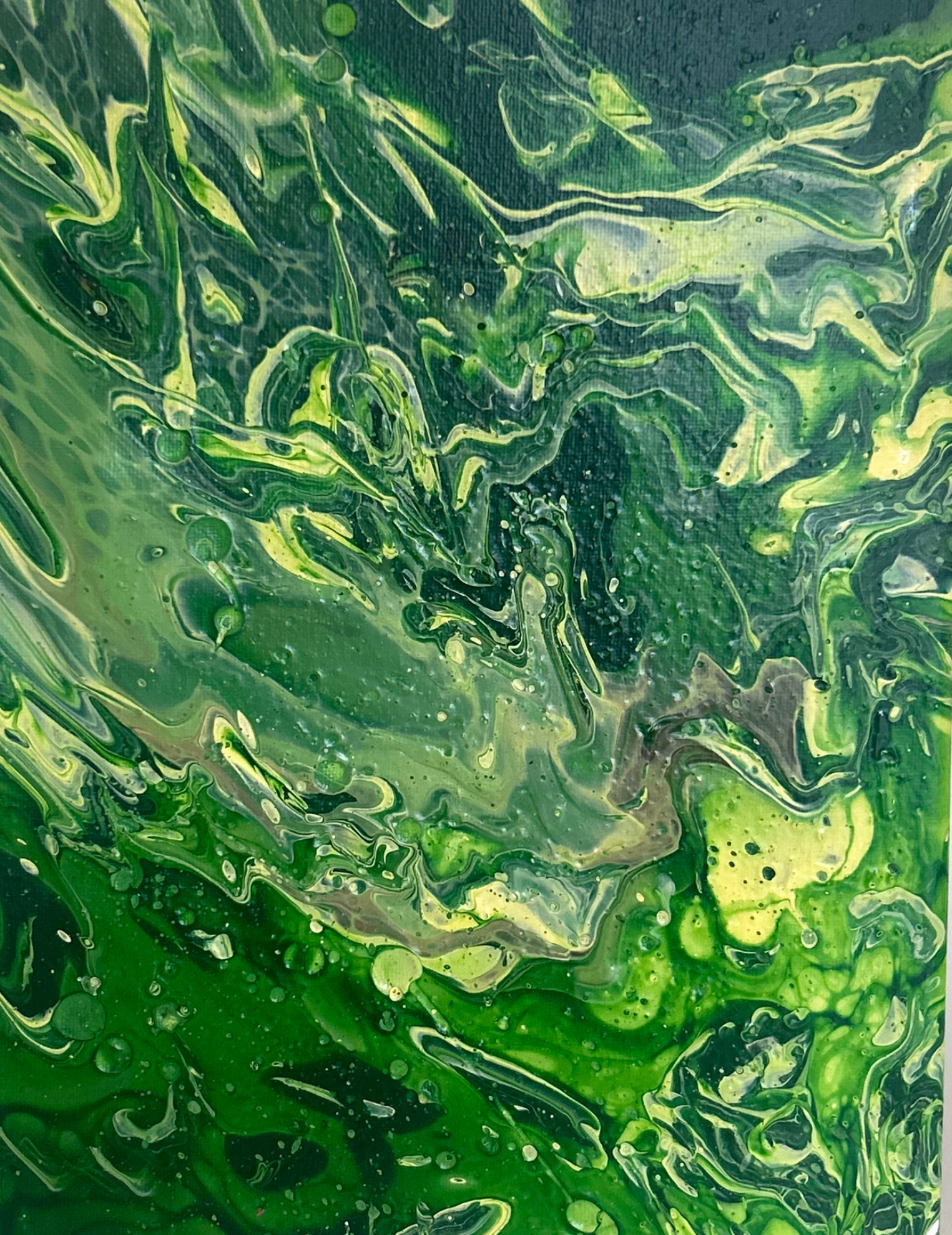 "Canopy"